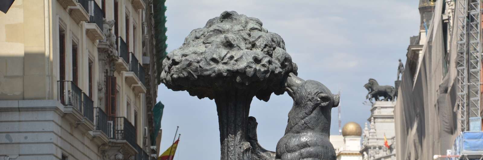 Lorenzo Lara Carrero banner