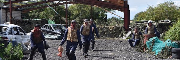 CelebrityMates Profile Banner