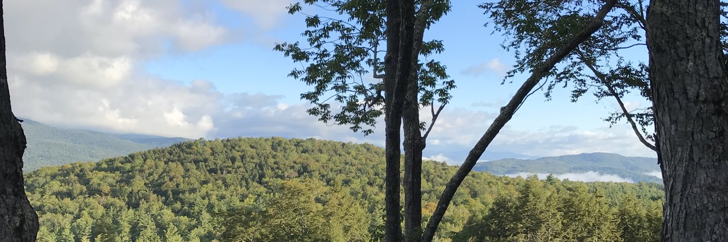 forestmanagment's profile banner image