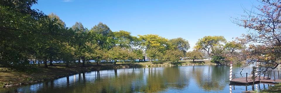 LynnWalder's profile banner image