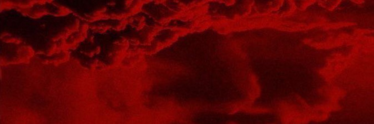 wholeIottared's profile banner image