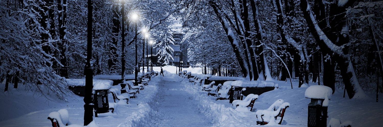December_990's profile banner image