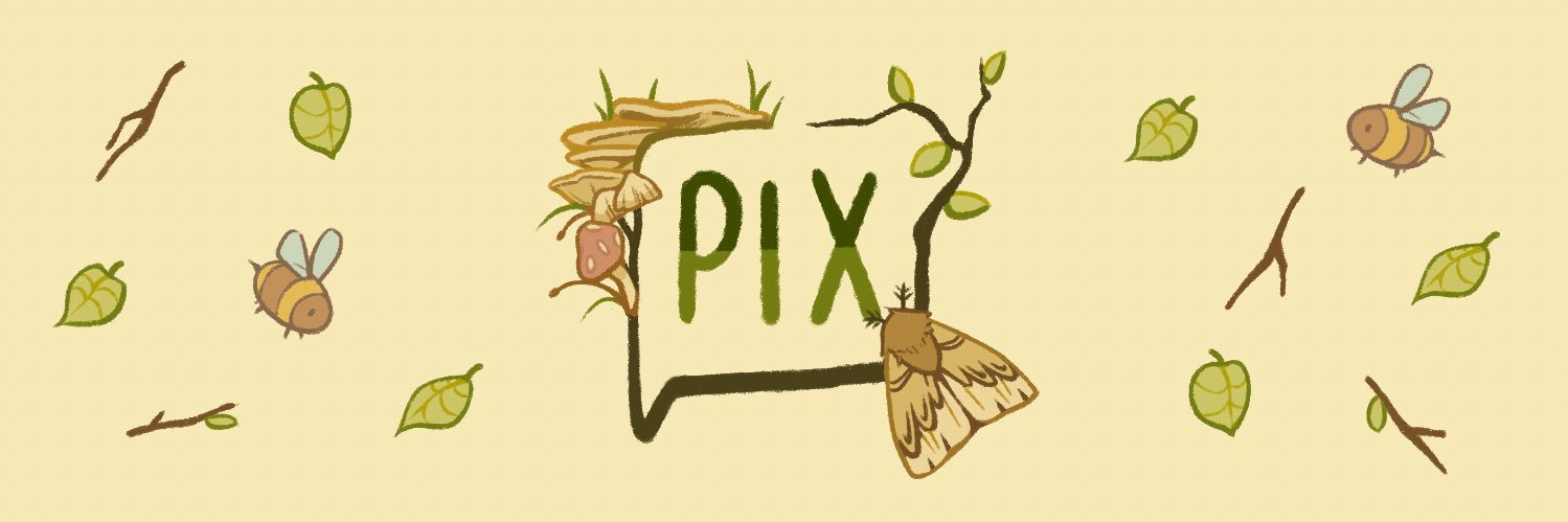 pixi banner