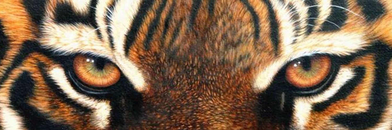 Whitewright VB banner