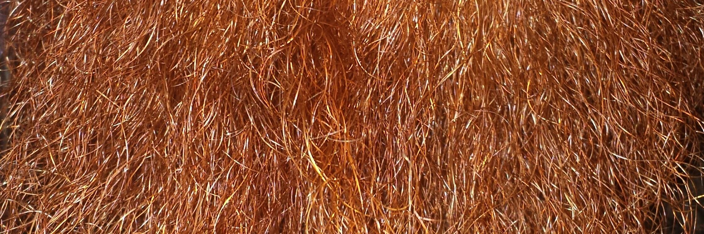SpikesBeard's profile banner image