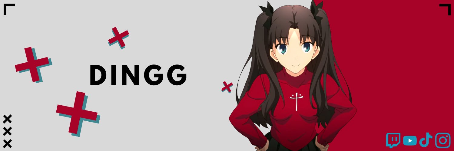Dingg banner