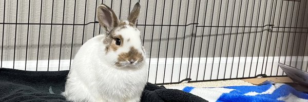 FinleySchelhaas Profile Banner