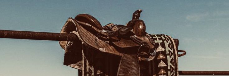 🎸 Roe 🎸 banner