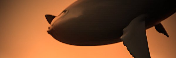 SergioDiMartin4 Profile Banner