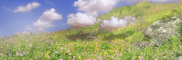 Bit_Froggr Profile Banner