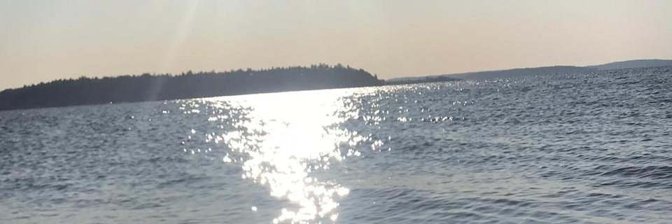 BousselhamHouda's profile banner image