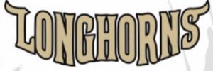 Buffalo Longhorns Baseball - AAABA, NY banner