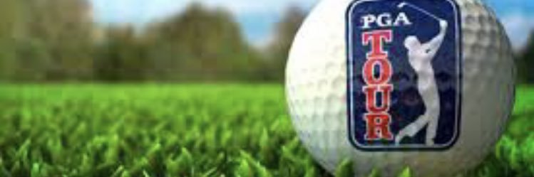 luisgolf banner