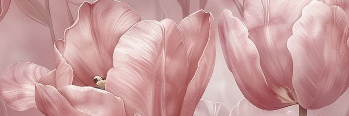 medstud21_fr's profile banner image