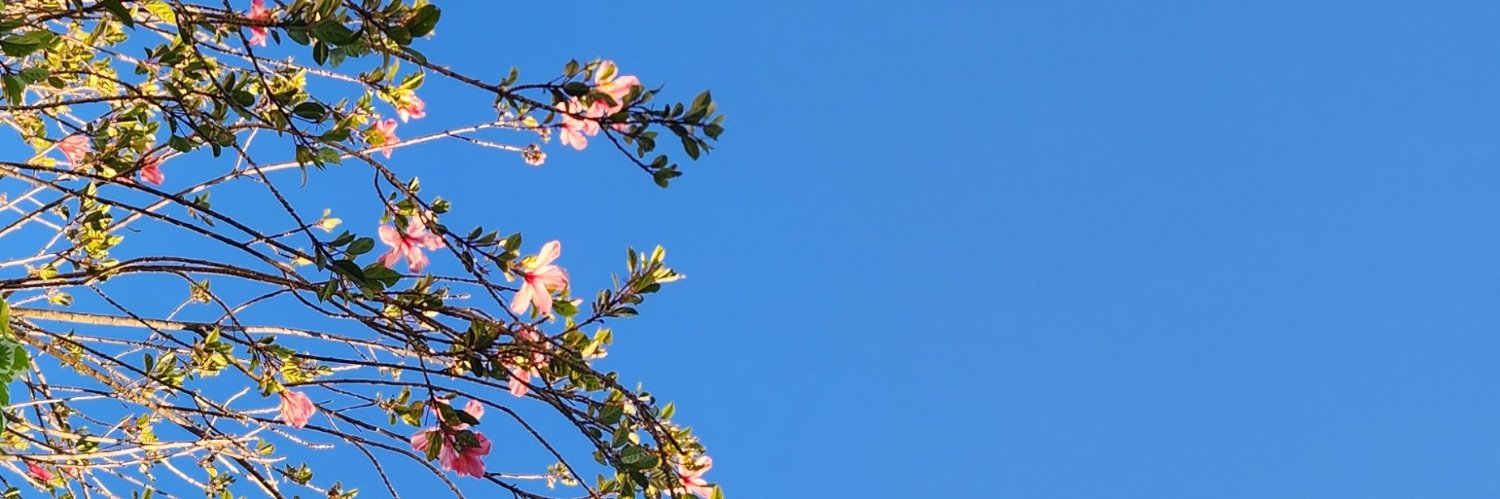 sandralml_97's profile banner image