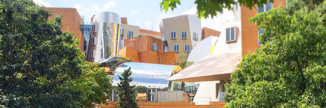 Sachit Saksena banner