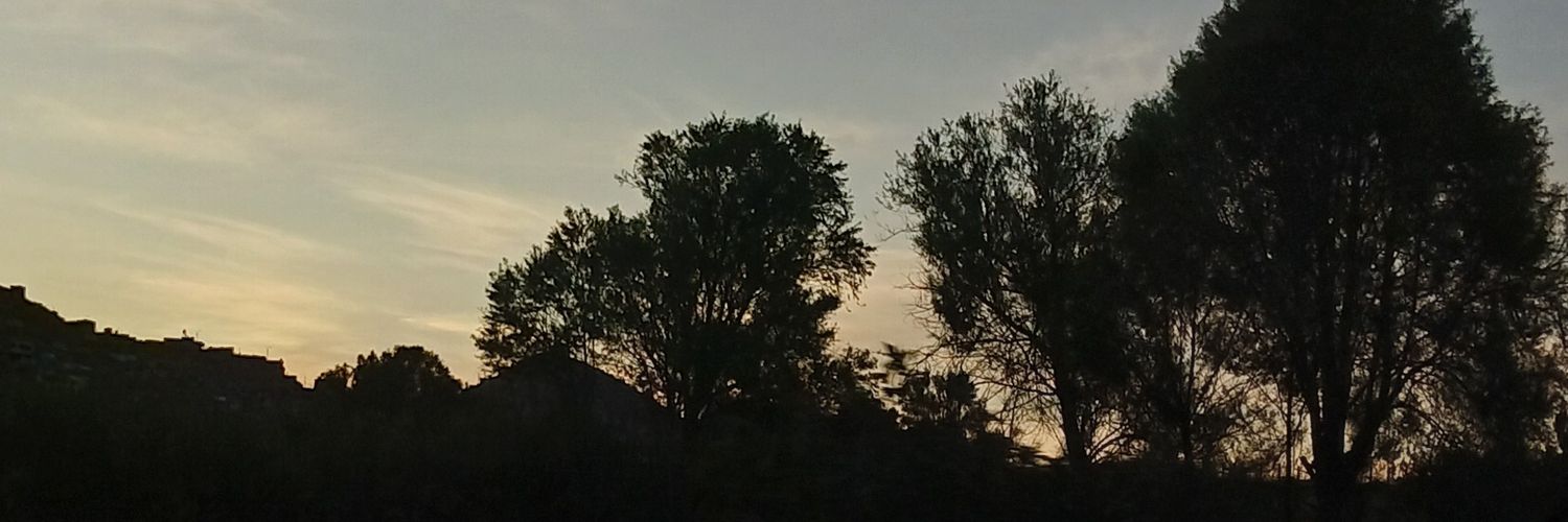 Sharelly16's profile banner image