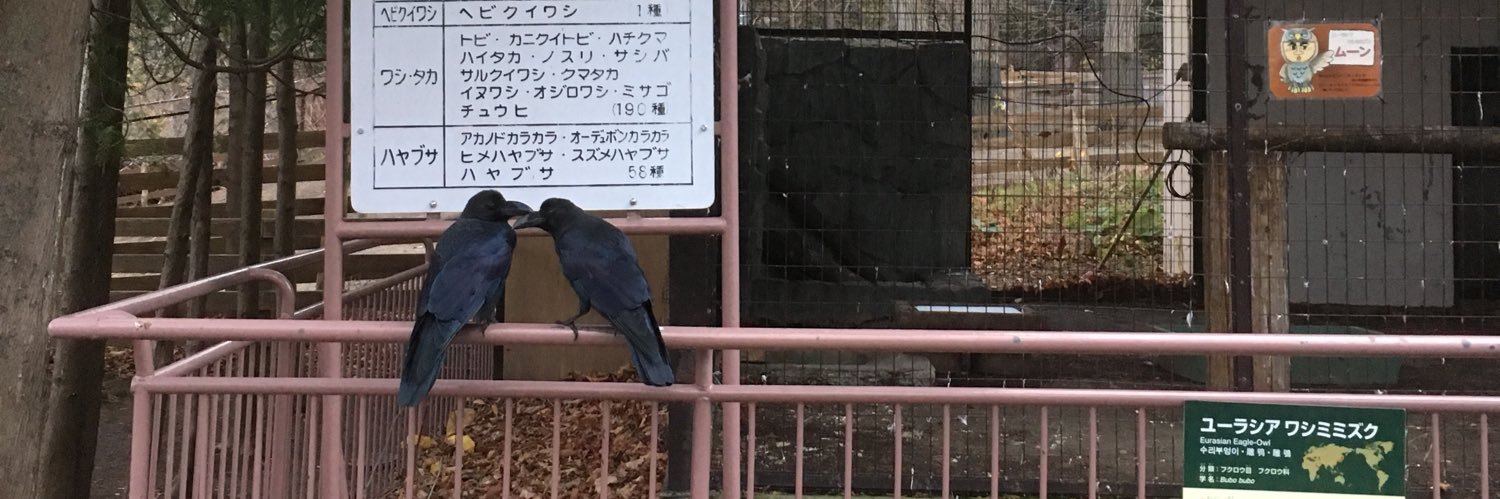 tomodanaoki's profile banner image
