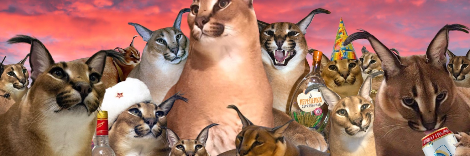flop about it @KARNOVEMBER (Thank You Takahashi)'s banner