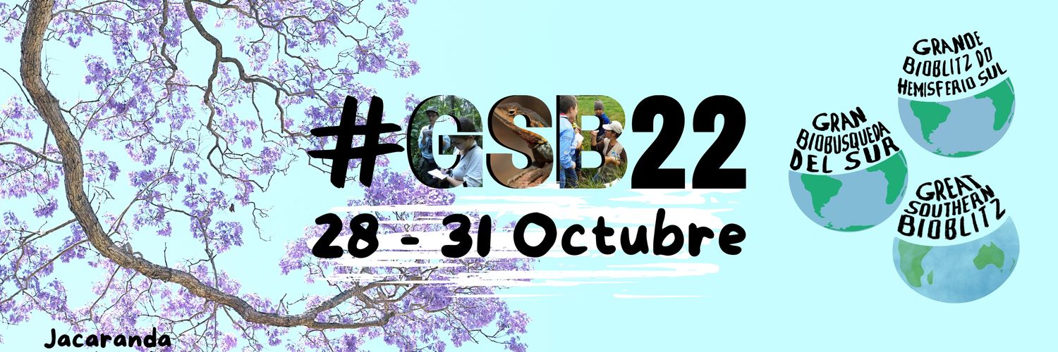 GSB América do Sul banner