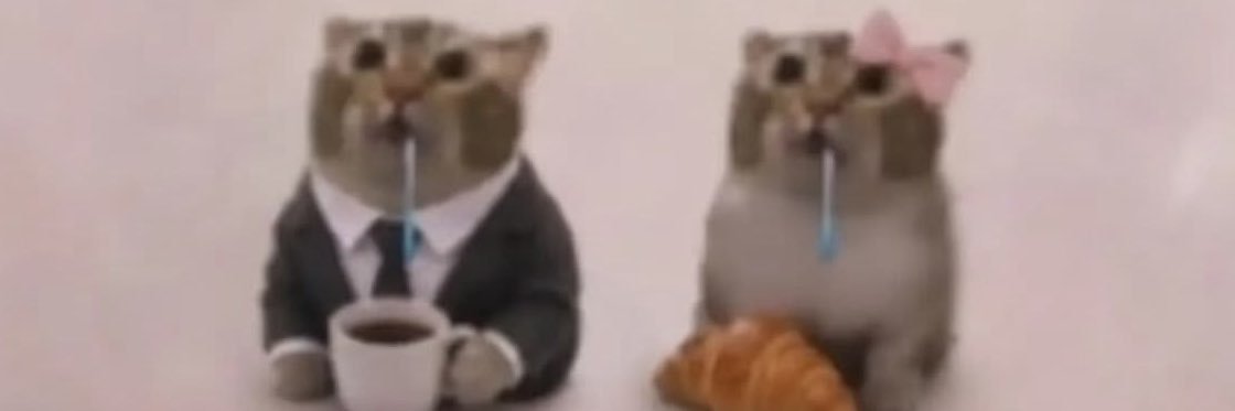 1NT3RST3LL4R's profile banner image