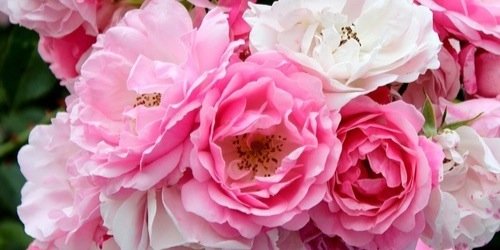 pakeypakeyy's profile banner image
