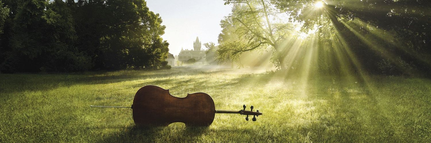 #Colour_Of_Soul 🇸🇦 banner