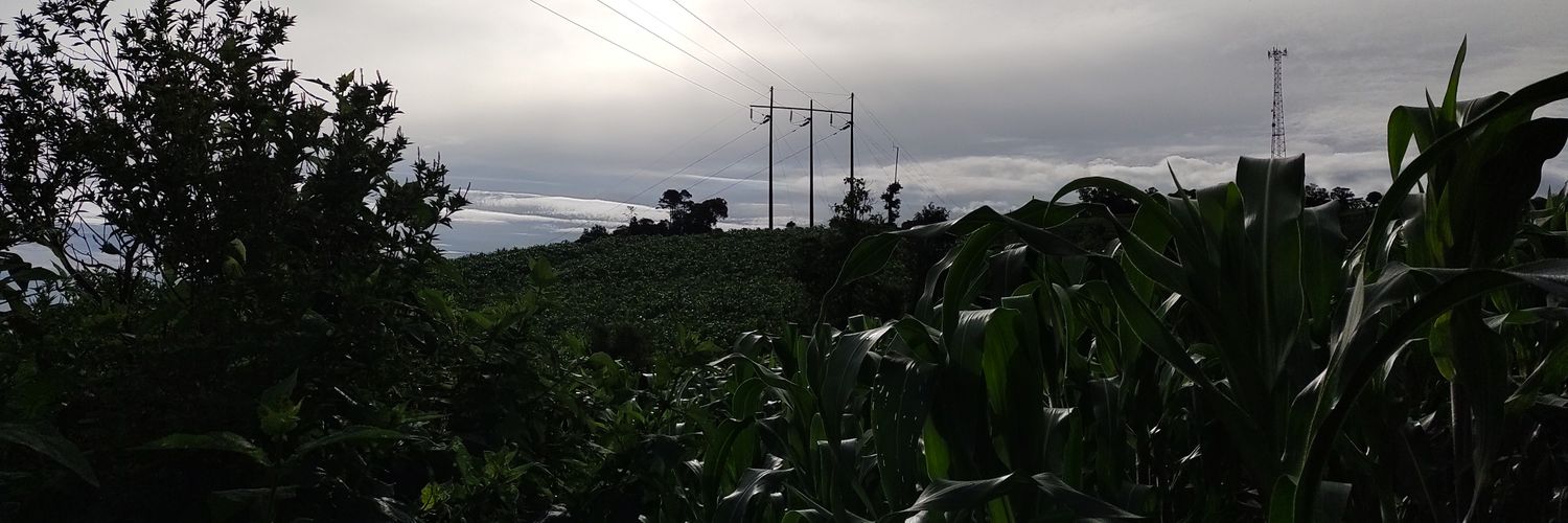 MarroquinSf's profile banner image