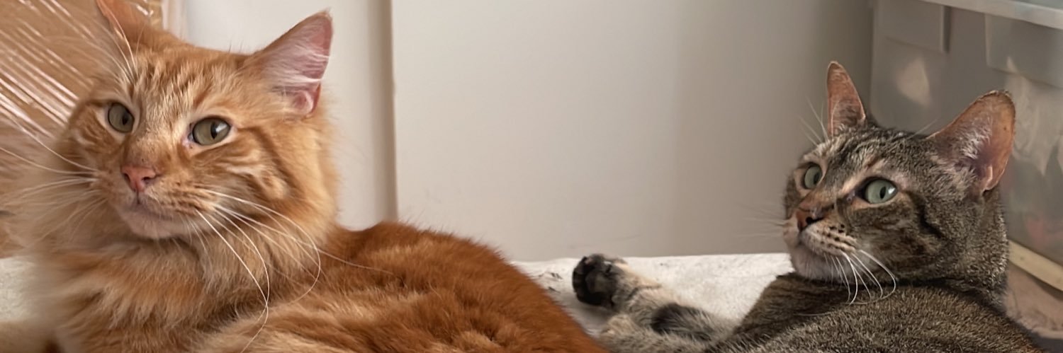 María Fernanda Castro banner