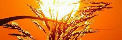 AldoCor88's profile banner image