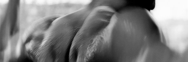 the_physio_co Profile Banner