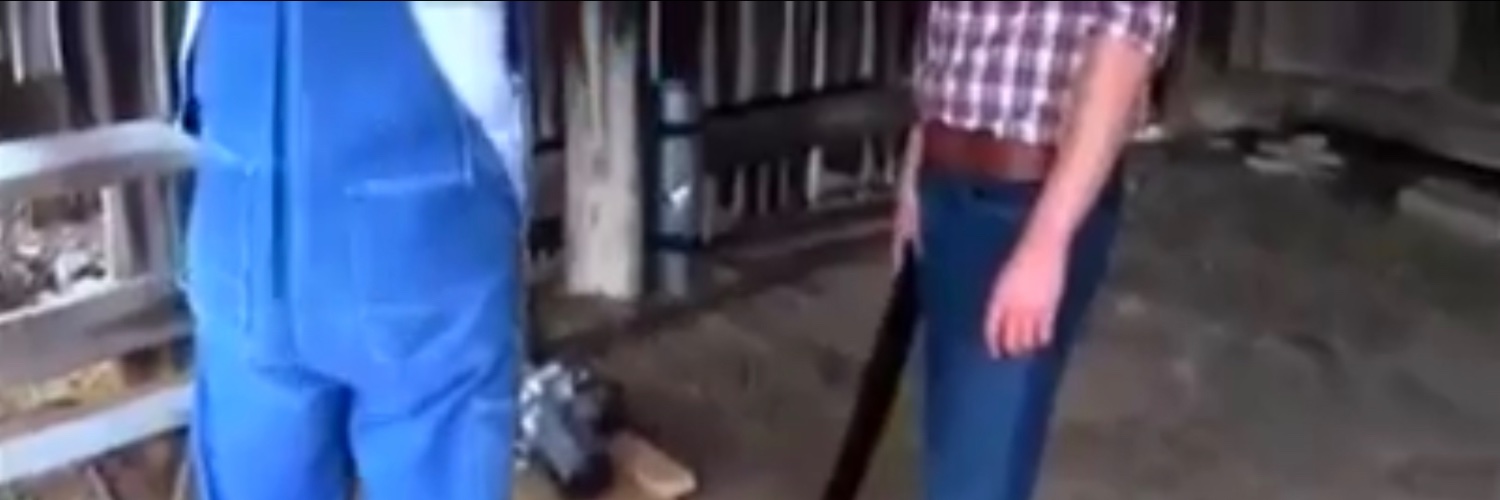 Houstonvisitor banner