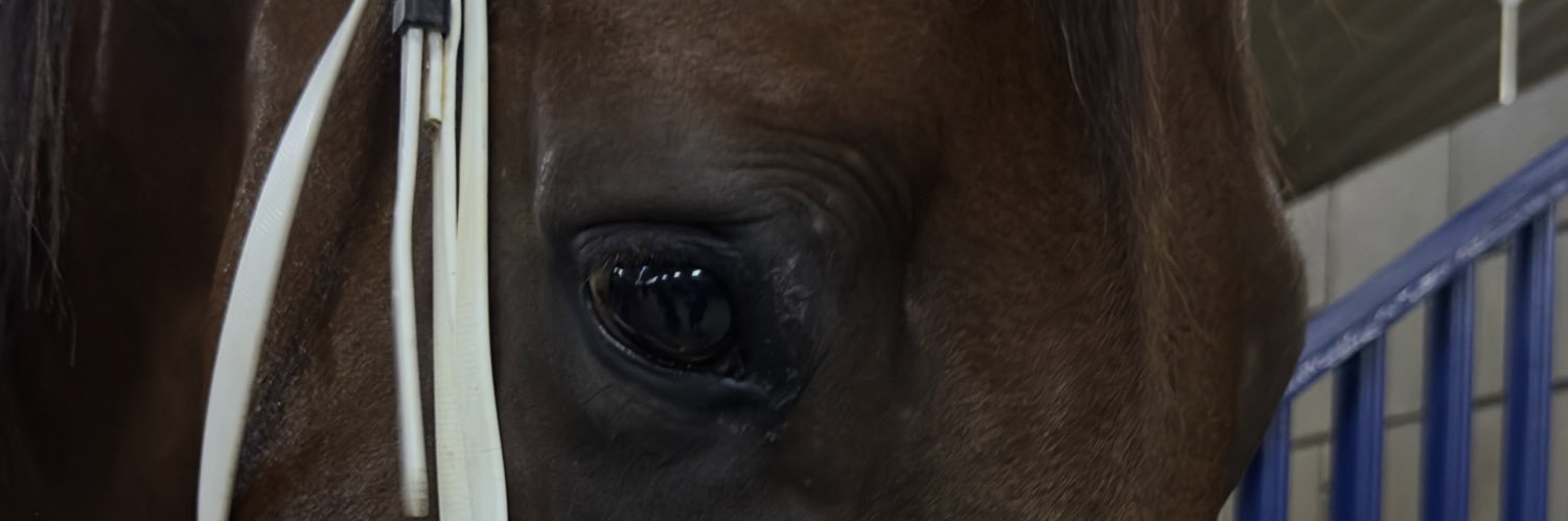 Iiityf's profile banner image