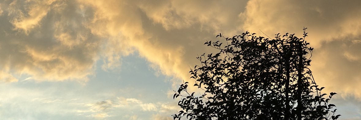 DanietsyP's profile banner image