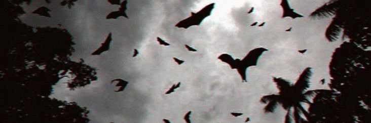 morriganfilth's profile banner image