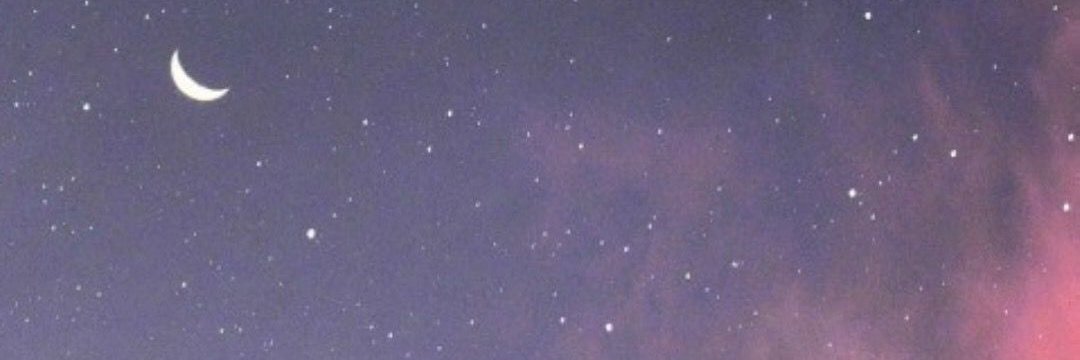 lilia banner