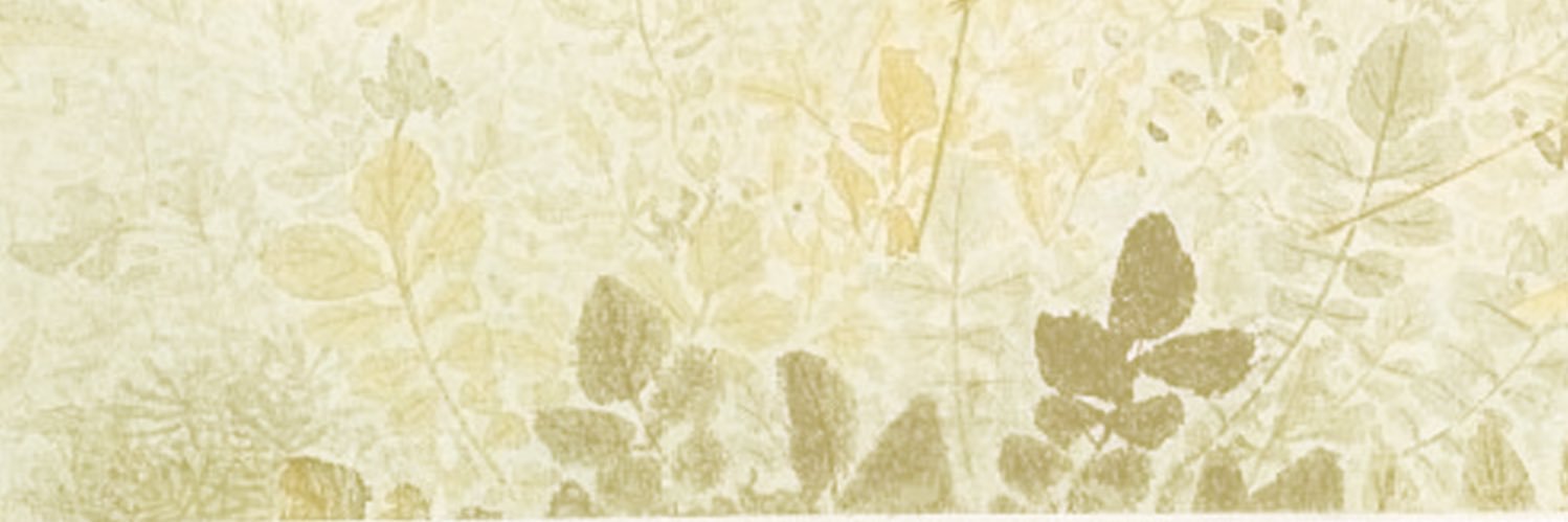 juan_miceli's profile banner image