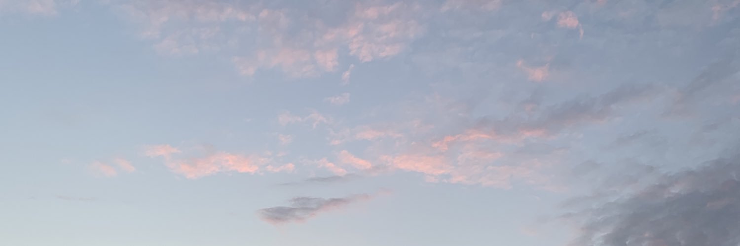 lanastox's profile banner image
