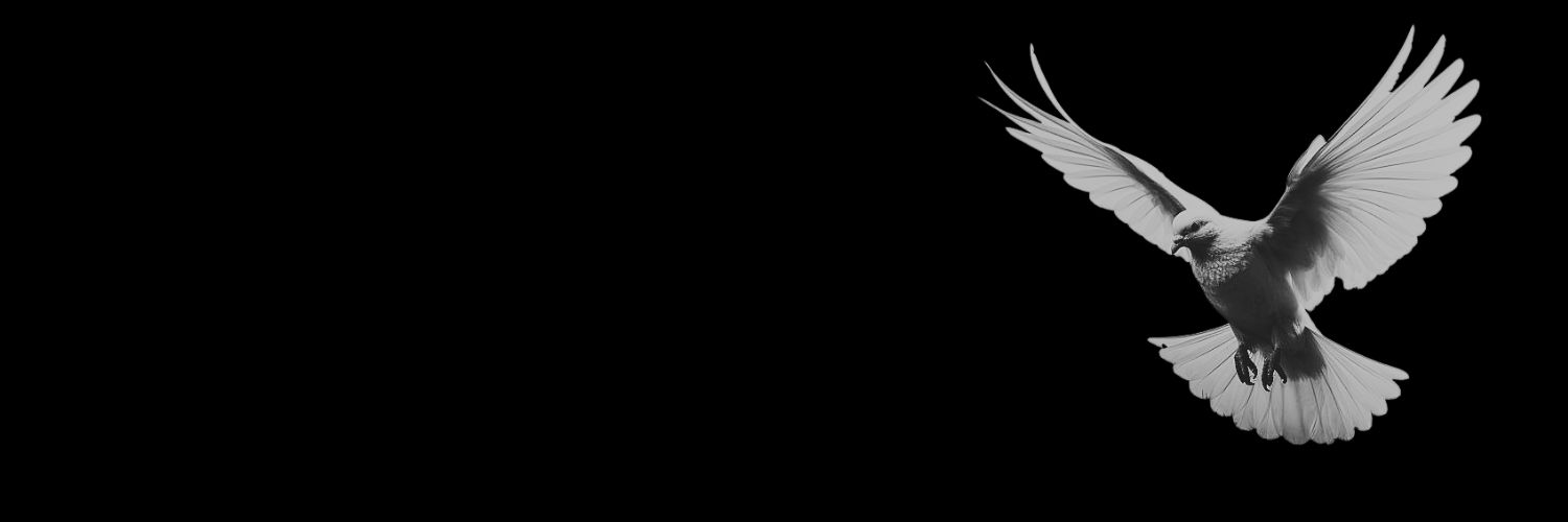 lostlittledove's profile banner image