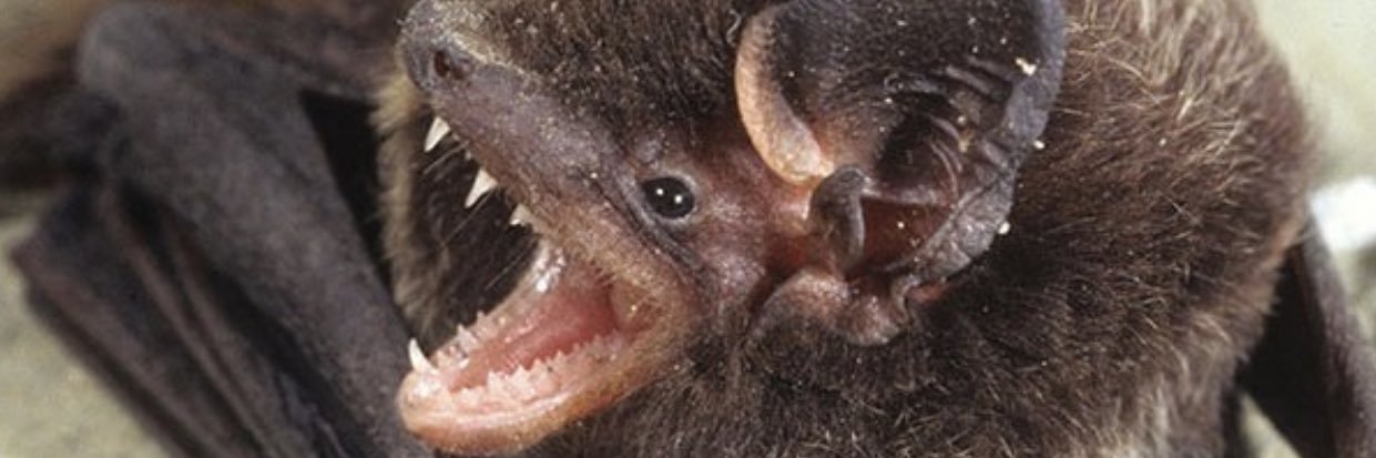 ugliboye's profile banner image