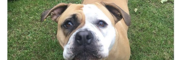 StolenOn Profile Banner