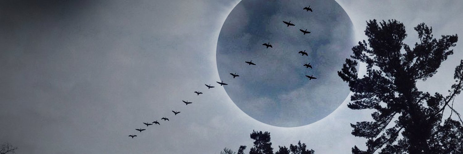 Final Collapse banner