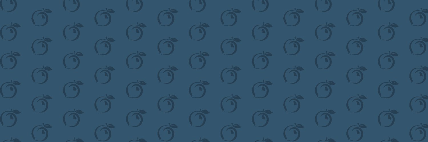 Peach State Pride banner