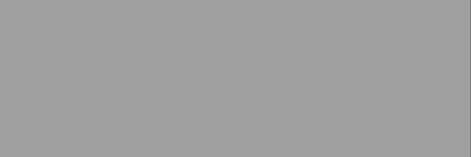recho banner