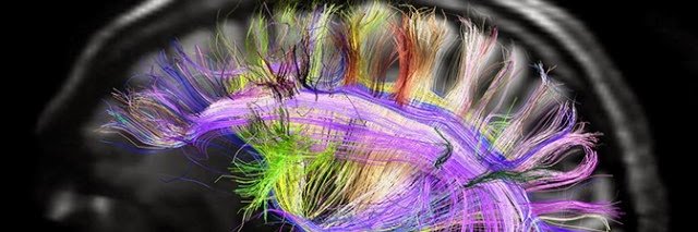 Subhi Marwari banner