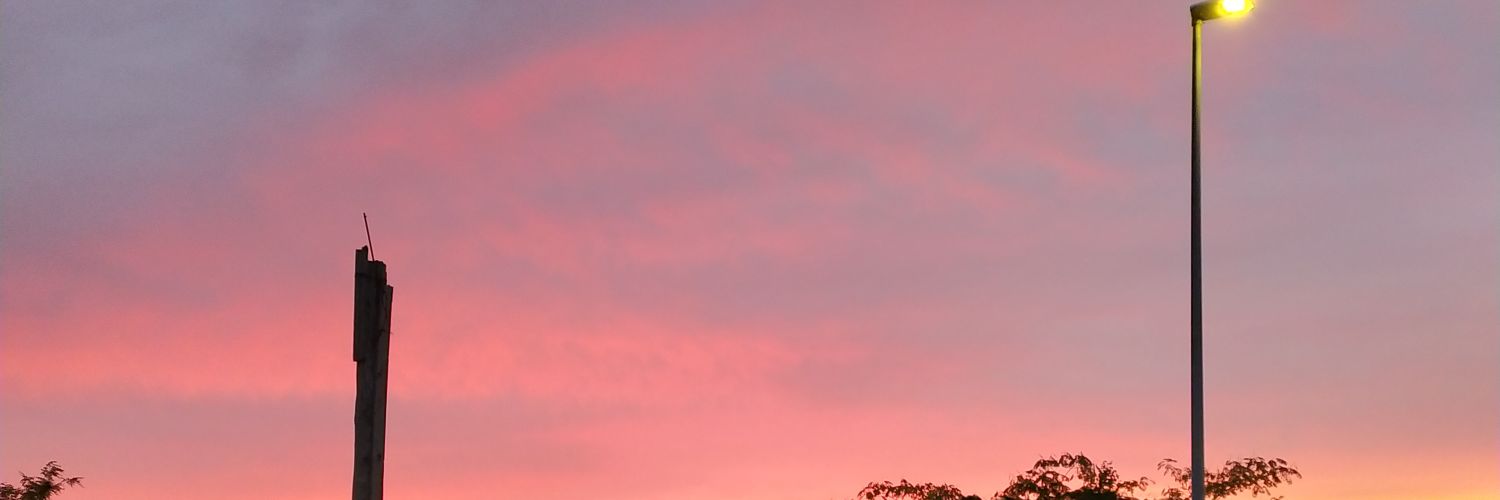 samuele_frl's profile banner image