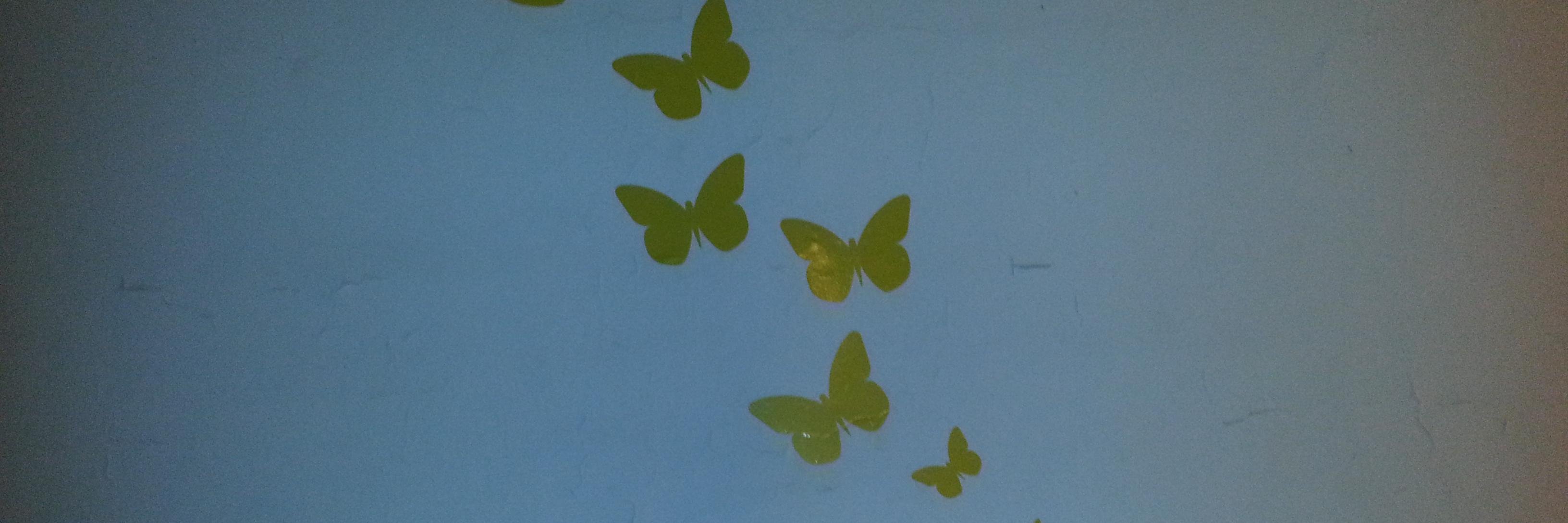 Midicloria banner