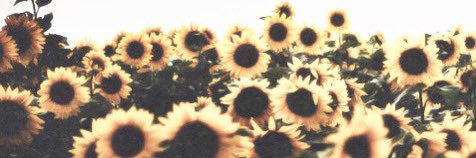 annie🌻's banner