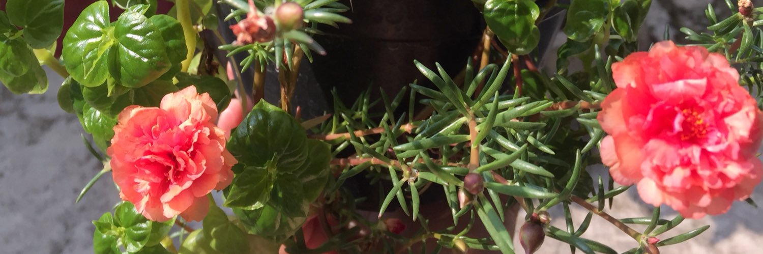 hildandriyani's profile banner image