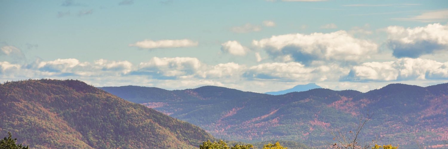 Carly Fries banner